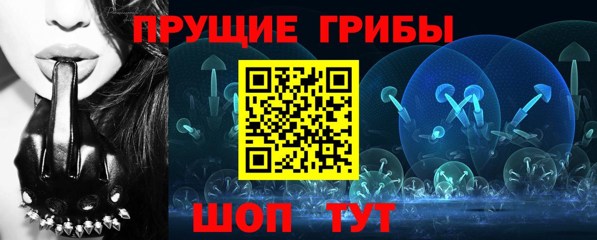 Псилоцибиновые грибы Magic Shrooms  Вход с VPN  где купить наркотик  Кандалакша 